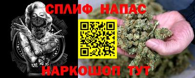 прущие грибы Ачхой-Мартан