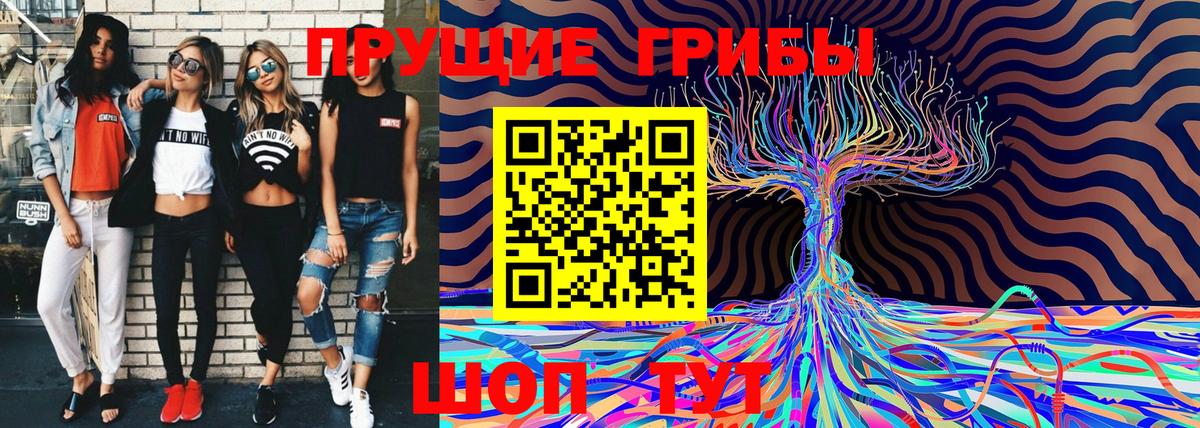 Псилоцибиновые грибы Psilocybe  Вход с VPN  Галлюциногенные грибы Cubensis  Алексин 